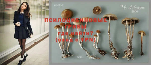 спайс Богданович