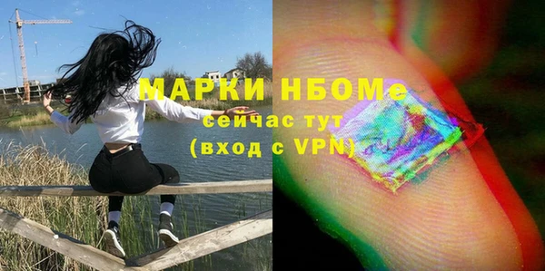 соль ск Богородск