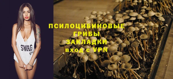спайс Богданович