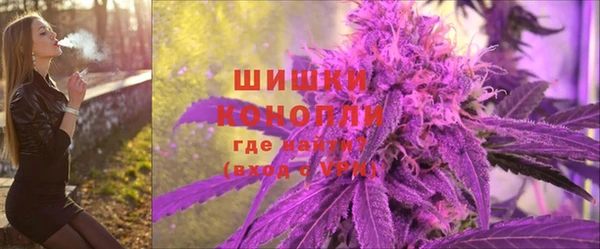 соль ск Богородск