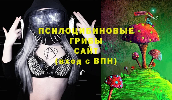 спайс Богданович