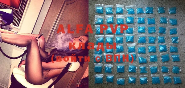 спайс Богданович