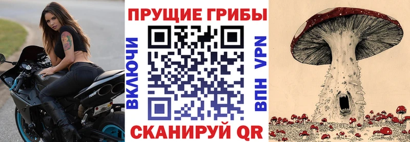 Галлюциногенные грибы GOLDEN TEACHER  Купить закладки  Александровск 